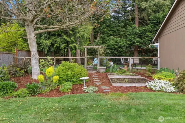 Garden beds & room for more...