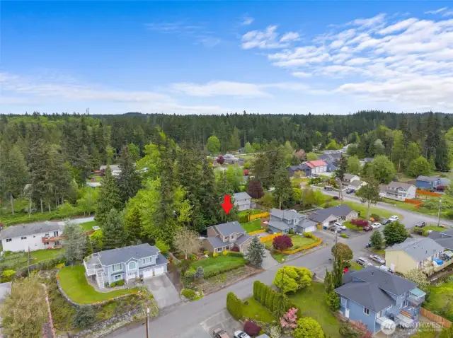 Aerial of neighborhood