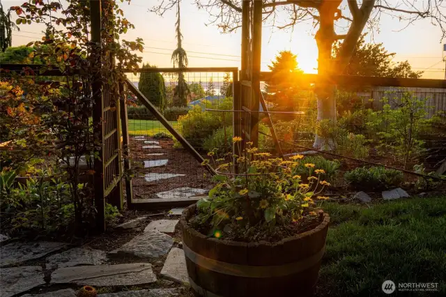 Side yard at golden hour looking over Port Susan