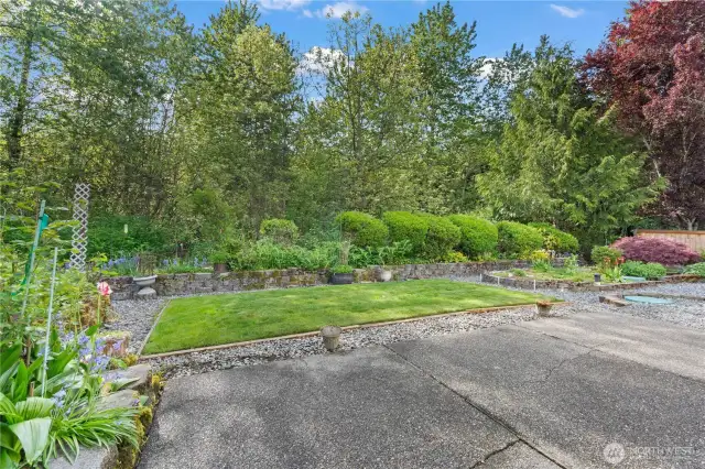 Back yard from patio door