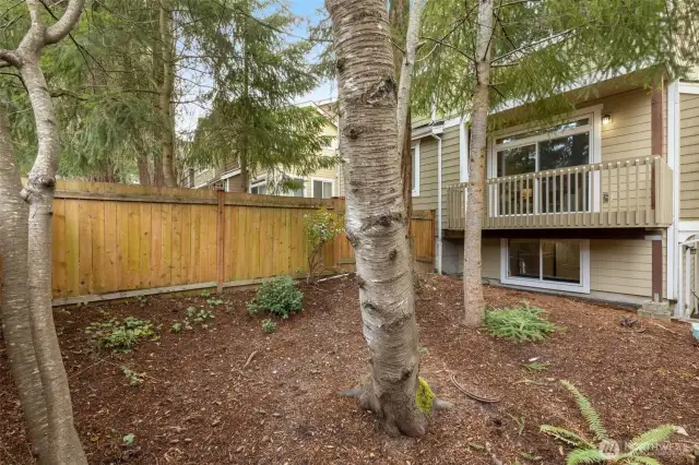Partially fenced backyard