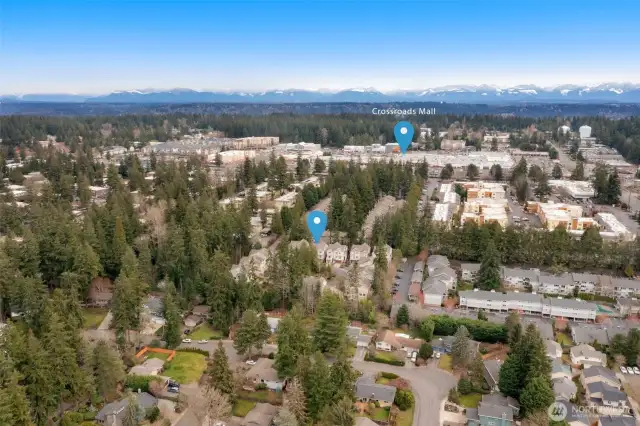 Easy commute to Microsoft, DT Bellevue, 520& 405