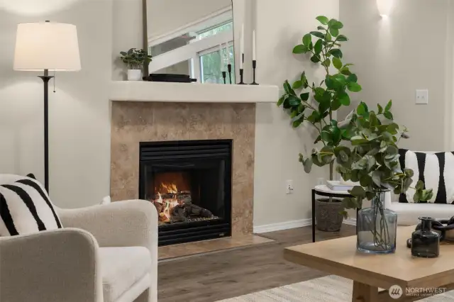 Gas Fireplace