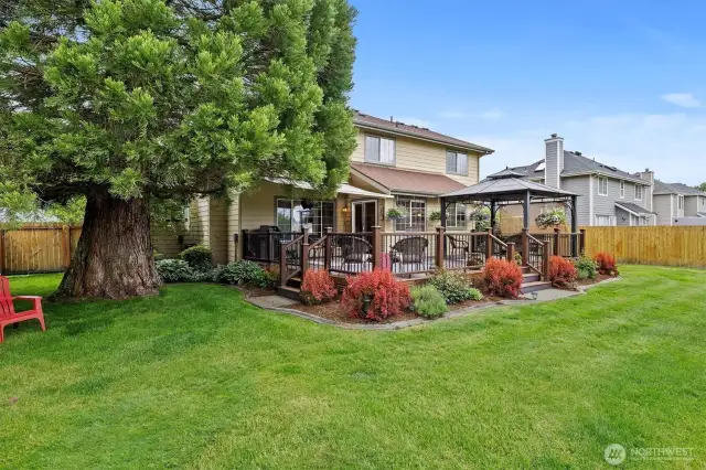 Side yard w/ curbing, mature landscaping