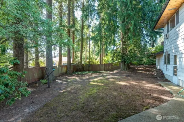 Peaceful backyard setting