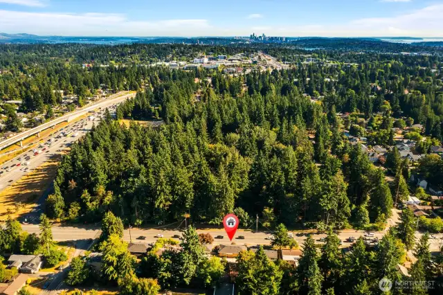 Directly across the street to the dog park with plenty of trails and room to run