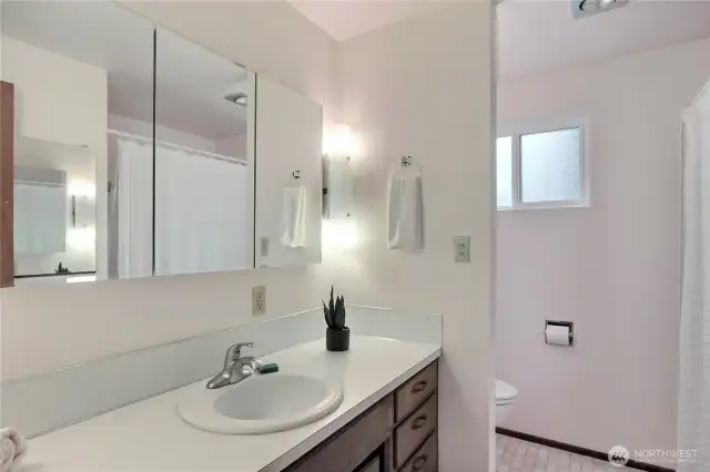 Primary bedroom en-suite bathroom.