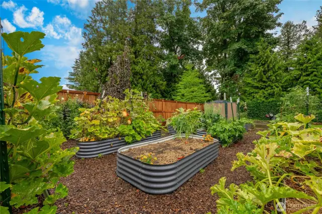 Huge garden area but still only takes up 1/3 or so of huge yard