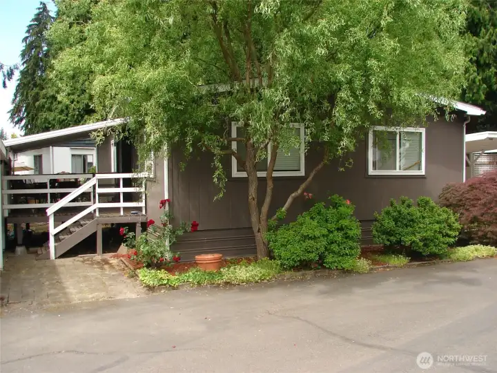 Front of the house is somewhat secluded.