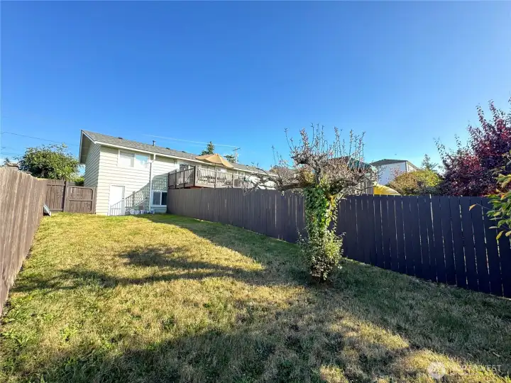 View of downstair fully fenced backyard with its own entrance.
