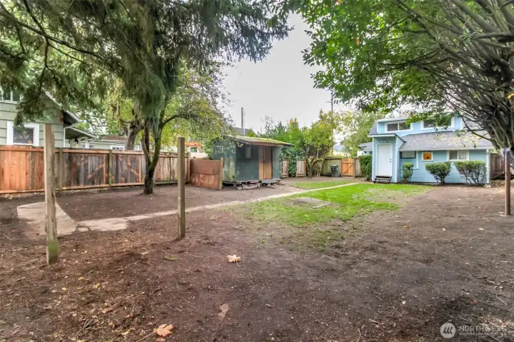 Back Yard with Pear Tree