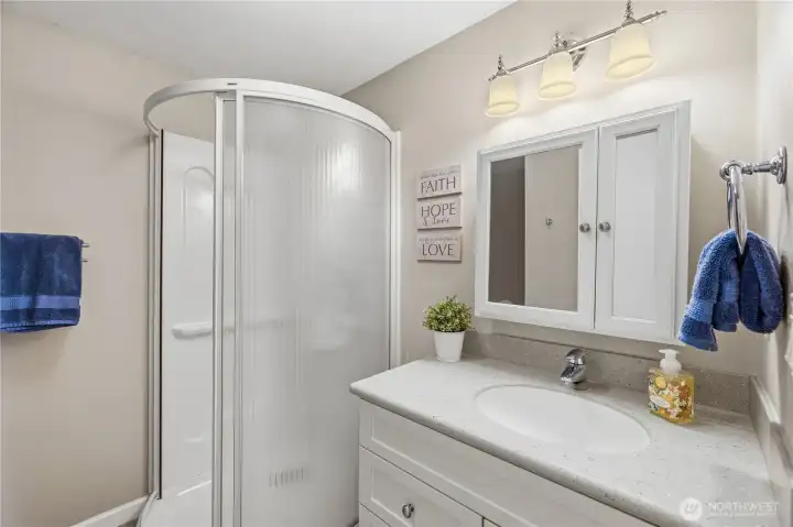 Lower level bathroom.