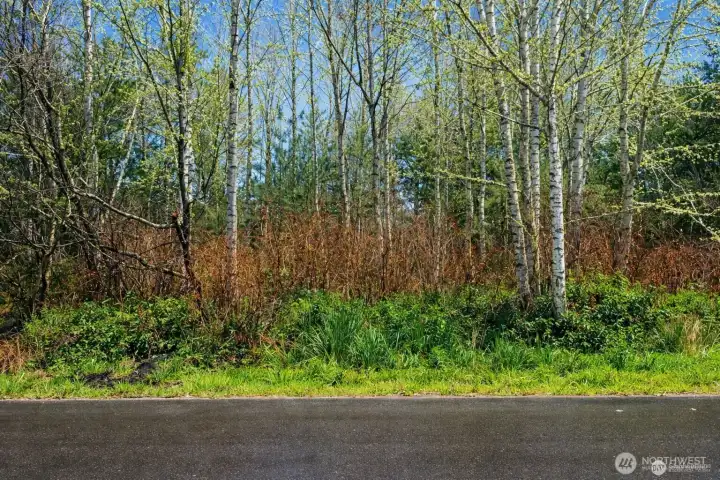 Fantastic lot with North Bay view potential!