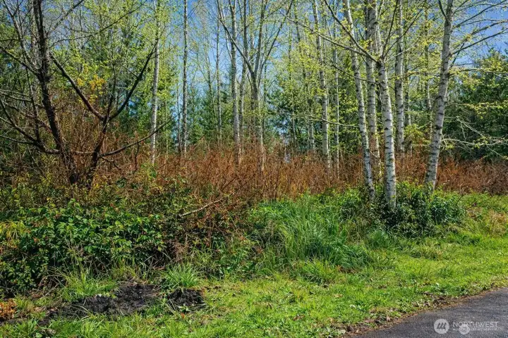 Fantastic lot with North Bay view potential!