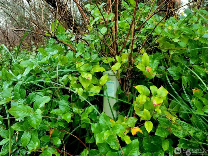 Power, water, and sewer all readily accessible in the street!