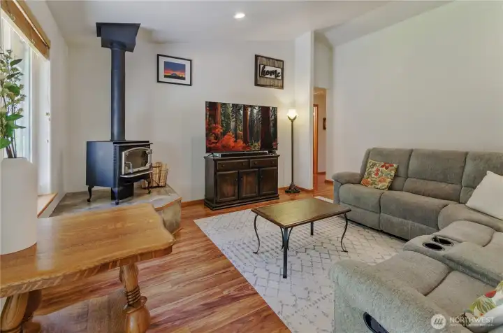 Wood burning stove makes your living room toasty in winter