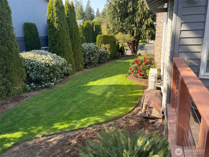 Side yard