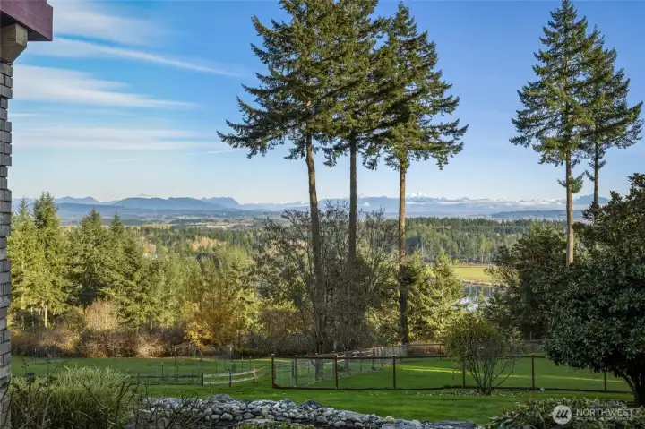 Large Fenced Area for Animals, or Orchard, Gardens, Pool, Whatever You Dream Up~