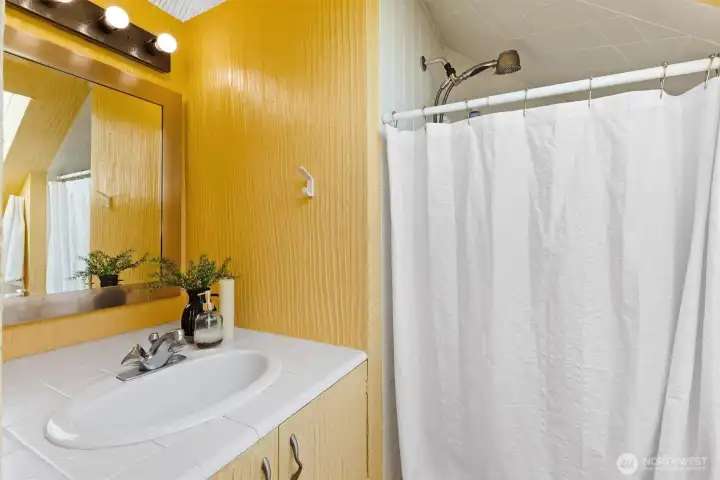 Upstairs bathroom with skylight, shower and vintage character.