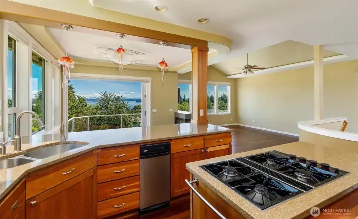 Kitchen with gas cooktop and trash compactor (no, that is NOT a dishwasher)
