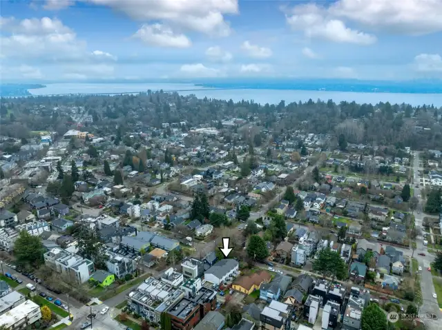 Arial view of the area with Lake Washington in the background