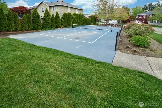 Neighborhood pickleball court.