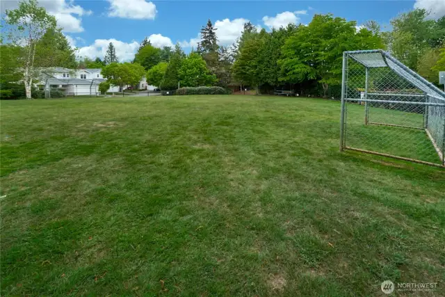Neighborhood soccer/ball field.