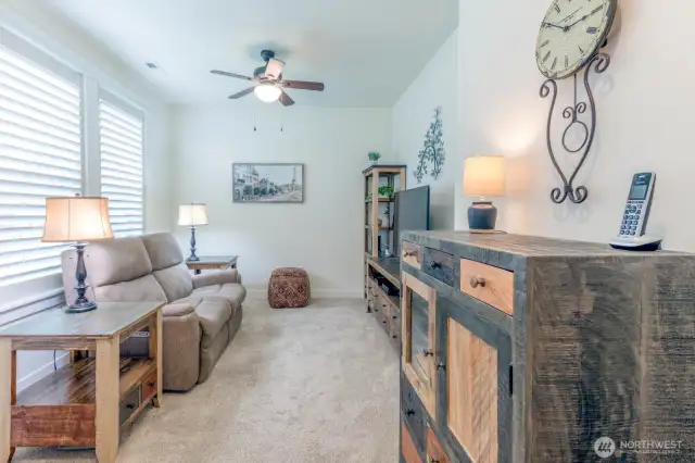 3rd Bedroom used as Entertainment room