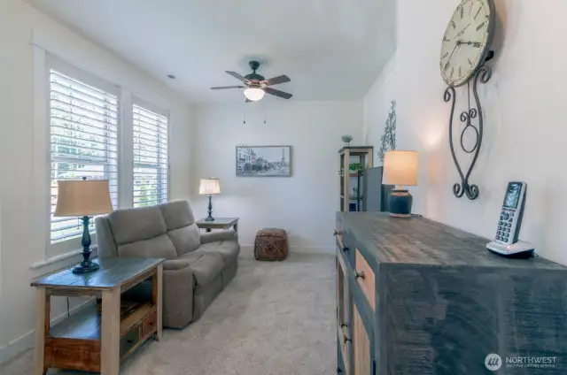 3rd Bedroom used as Entertainment room