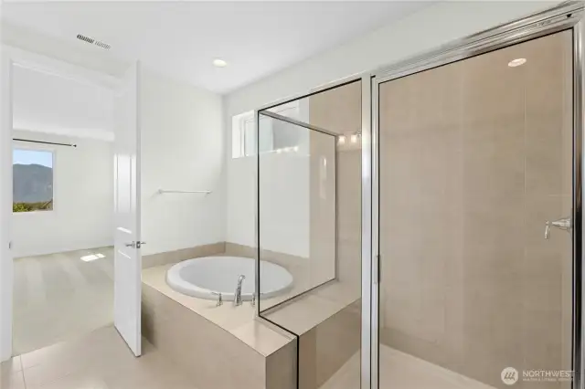Primary bathroom