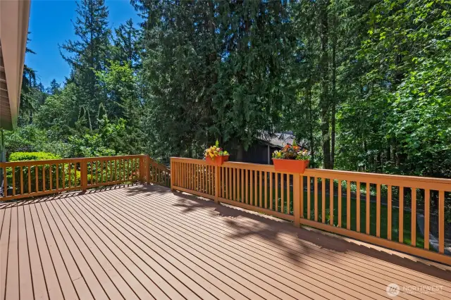 Mature trees make this feel like a secluded paradise.
