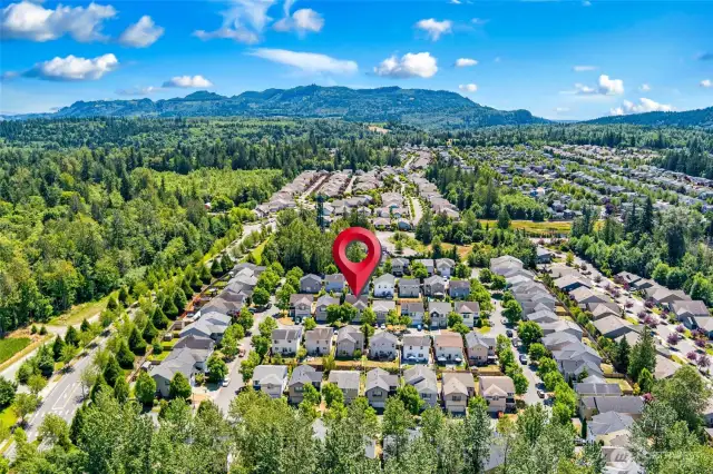 Neighborhood View