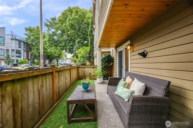 No need to mow with easy to maintain turf yard