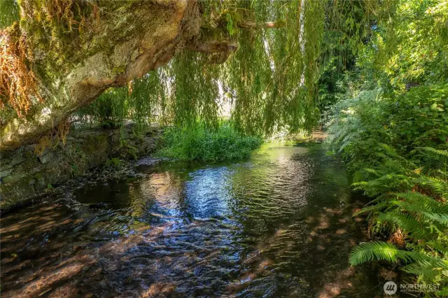 Thornton Creek trickles along the backside of the property. Enjoy the birds, fish, and tranquility amongst the established landscape!