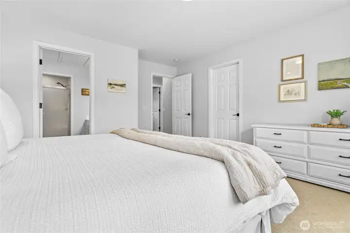 Primary bedroom with walk-in closet and en suite bathroom