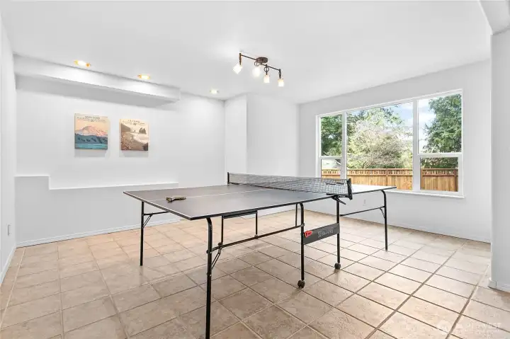 Basement family room