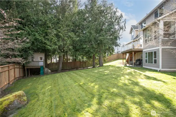 Fully fenced backyard