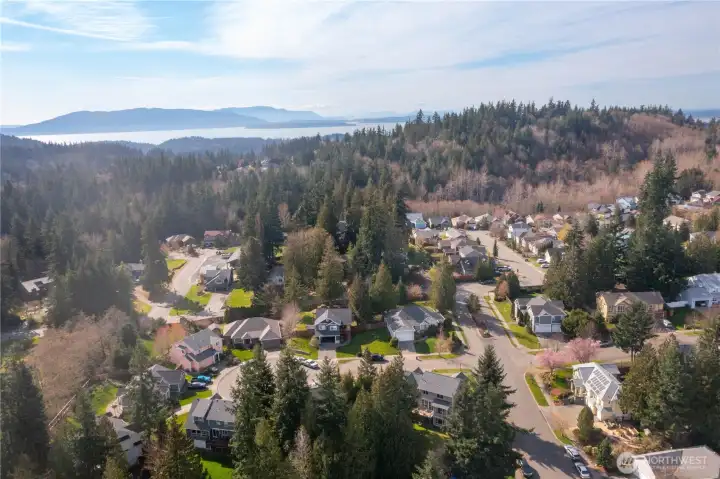 The beautiful PNW! Get your steps in walking the South Hills Neighborhood