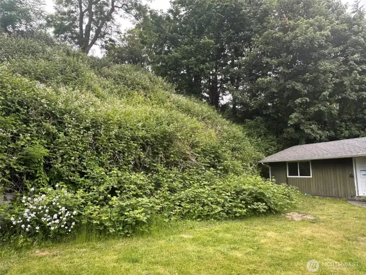 This is the hillside movement they are concerned about