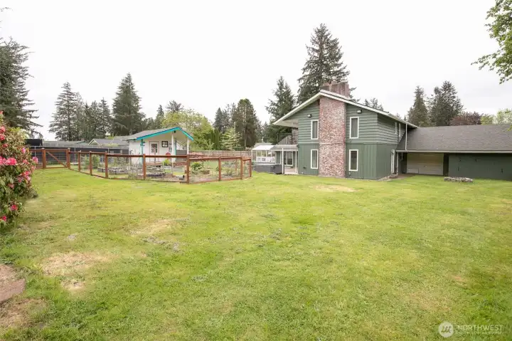Backyard