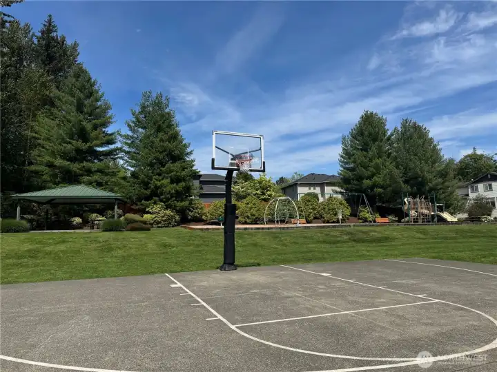 Half court basketball Half court basketball