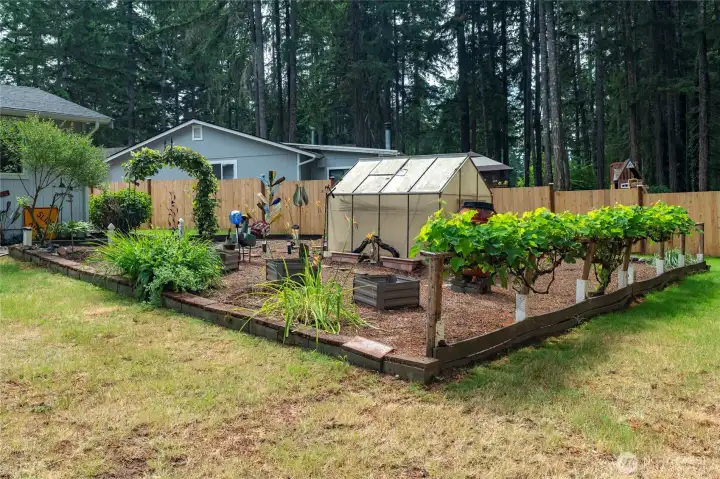 Grow your own food garden