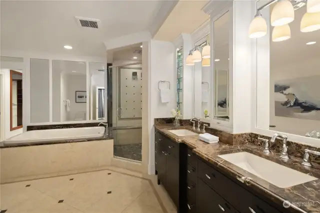 Jetted tub, multi head shower, duel sinks all bathed in marble.