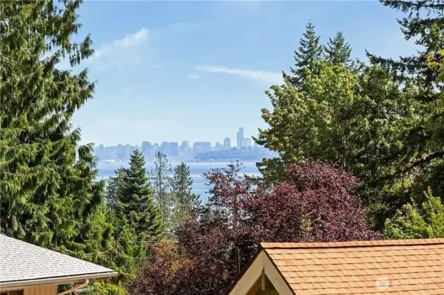 Top left view from the back yard