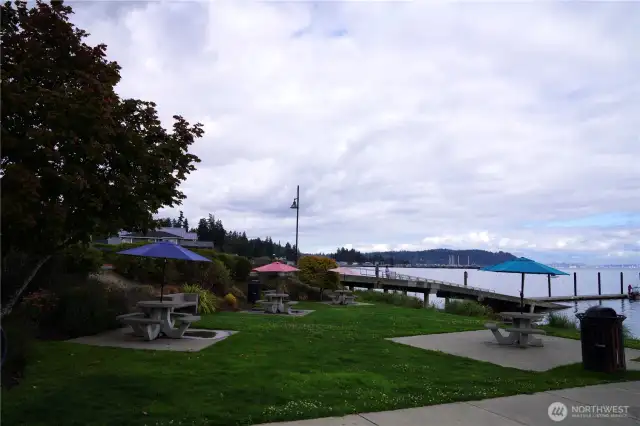 Community park