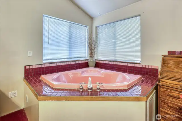 Jetted jacuzzi tub in the primary bedroom.