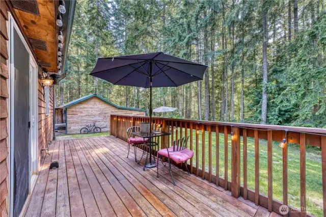 Deck just off the kitchen.  Structure in the background is the carport and shop space.