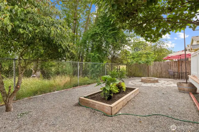 Low maintenance backyard with planter boxes