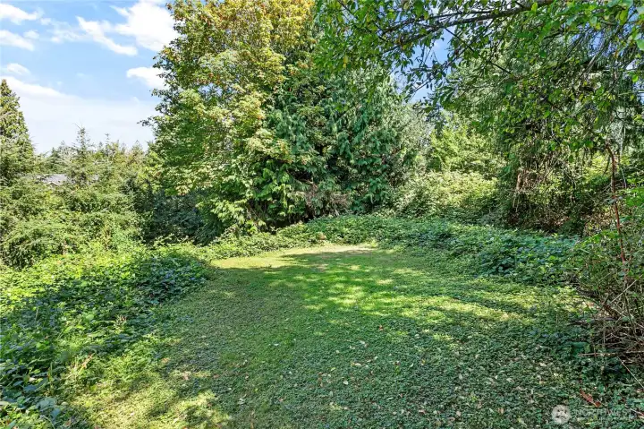 There's a great spot at the edge of the yard for a firepit. Bonfire anyone?