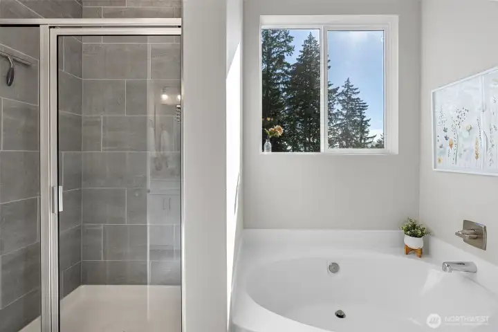 Large Shower in Primary Bath